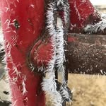 Walter Hatfield - @walterhatfield - Instagram