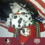Walter Henry - @walter.henry.5623 - Instagram