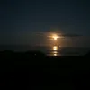 Walter Herbert - @walter.herbert0 - TikTok