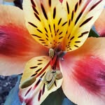Walther Berthold - @waltherberthold - Instagram
