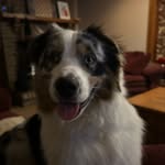 Walt Hunt - @walt_a_hunt - Instagram