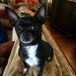@walt_hunt - Instagram