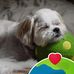 Walt Jackson - Facebook