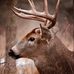 Walter Jackson - Facebook