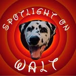 Walt James - @spotlight.on.walt - Instagram