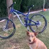 Walt james - @waltjames7 - TikTok