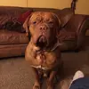 Walt Johnston - @walt.johnston - TikTok