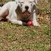 Walter Johnston - Facebook
