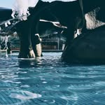 Walter Lowry - @walterlowry57 - Instagram
