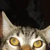 Walter Mac Donald - @walter.mac.donald - TikTok