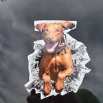 Walt Masters - @masterswalt - Instagram