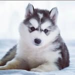 Walt Masters - @king.of.the.mazy_may - Instagram