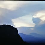 Walt Morrison - @furtz310 - Instagram
