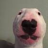 Walter nelson - @walter_explains_the_jok3 - TikTok