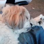 Walt Phillips - @walt.phillips.94 - Instagram