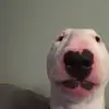 5K with no videos - @walter_5k_with_0_posts - TikTok