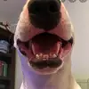 OFFICIAL WALTER - @walterlooksatposts - TikTok
