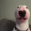 Road to 100k with no post - @walter_100k_no_posts - TikTok