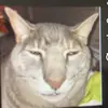 Walteronlypostsssss🤩🤩 - @ceowalter45 - TikTok