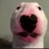 walterstupraibambini - @walter.shit.post - TikTok