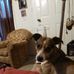 Walt Reed - Facebook