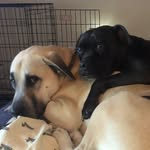 Walt Rich - @walt.rich - Instagram