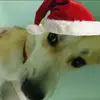 waltrich🎰 - @impulse978 - TikTok