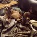 Walt Robinson - Facebook