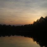 Walter Robinson - @walter.robinson.10 - Instagram