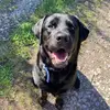 Mr Walter 🐾 - @walter_maxwell_shaw - TikTok