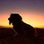 walter summers - @walterbsummers33 - Instagram