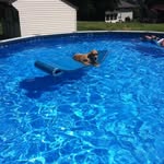 Walt Thomas - @walt.thomas.942 - Instagram