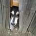Walt Turner - Facebook