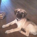 Walt Turner - @walt.turner.562 - Instagram