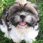 Walter And Tyson - @walter.and.tyson - Instagram