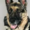 Walters Walters - @walters.walters - TikTok