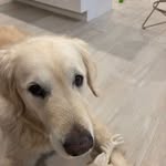 david walt weaver - @dwaltweaver - Instagram