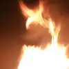 Phoenix Zan Armondi - @walterweaver2 - TikTok
