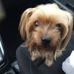 Walter Weaver - @walter.weaver2 - Instagram