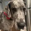 walterweaver_ - @walterweaver_ - TikTok