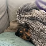 Walt Wheeler - @walrus0412 - Instagram