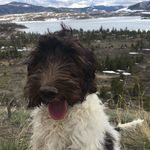 Walter Abbott - @walter_abbott_adentures - Instagram