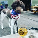 Walter - @walter.abbott.2015 - Instagram
