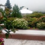 Walter Abrego - @josecases966 - Instagram