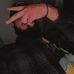 Walter Abrego - Facebook
