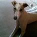 Wally Allgood - Facebook