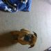 Walter Allgood - Facebook