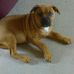 Walter Allgood - Facebook