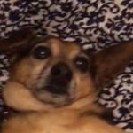 Walter Allison Allison - @walter_allison_allison - Instagram