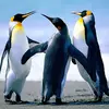 walteralsa - @walteralsa - TikTok